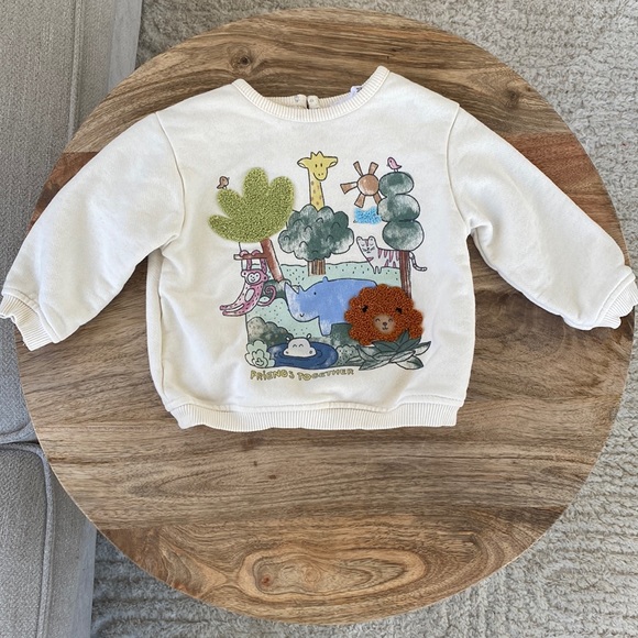 Zara Other - Zara Baby Sweatshirt 🦒